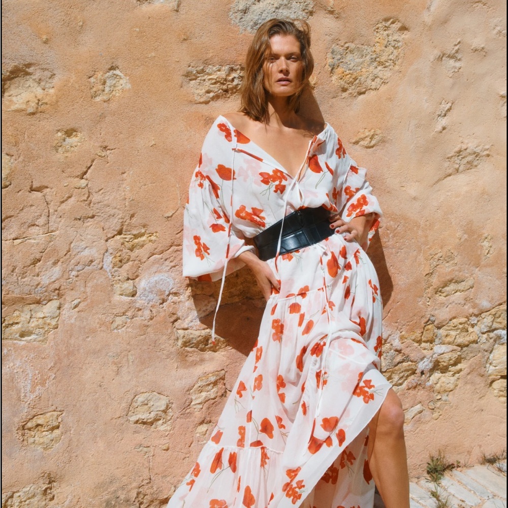Reformation Cambridge Dress